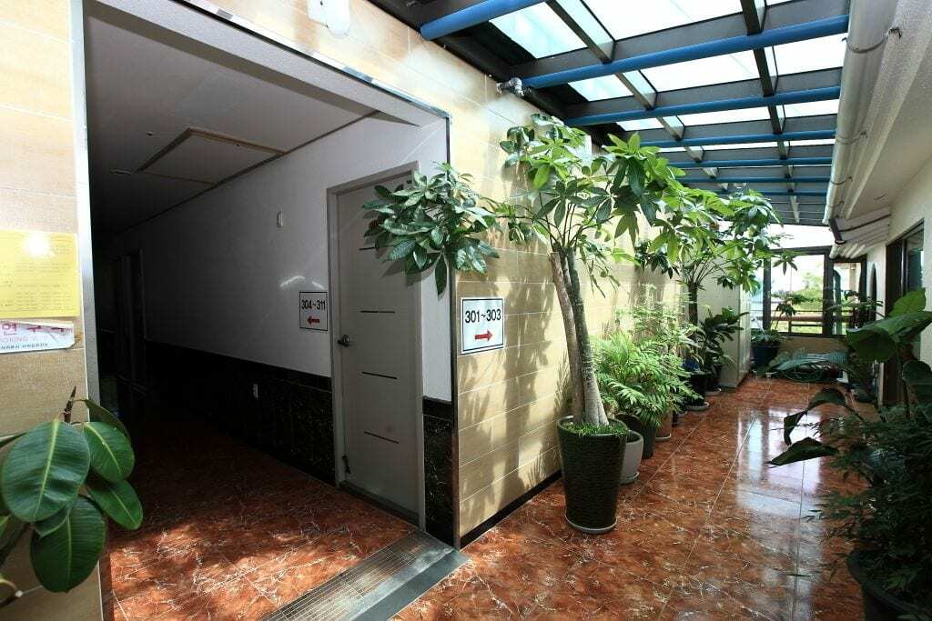 Haesung Pension Seogwipo Ngoại thất bức ảnh
